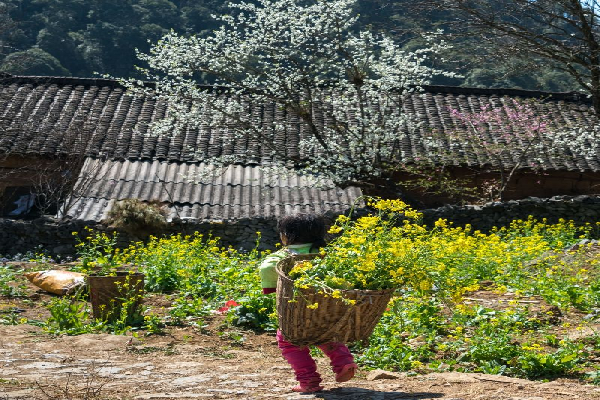 6 Day Ha Giang  Yen Minh Meo Vac  Cao Bang  Ban Gioc Waterfall Tour - photo 8